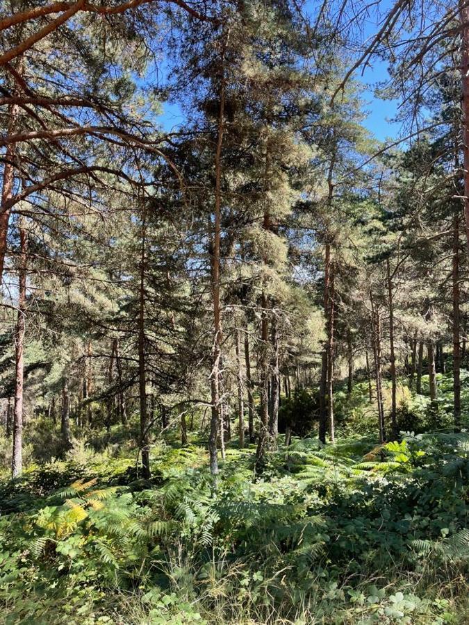 Apartamento Rural Meaus Rubias Eksteriør billede
