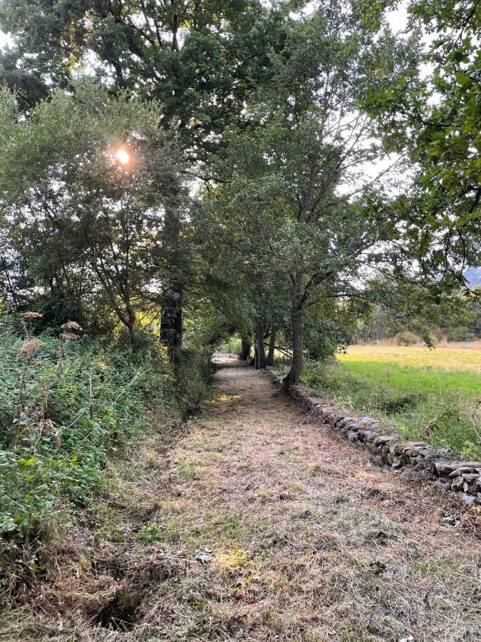 Apartamento Rural Meaus Rubias Eksteriør billede